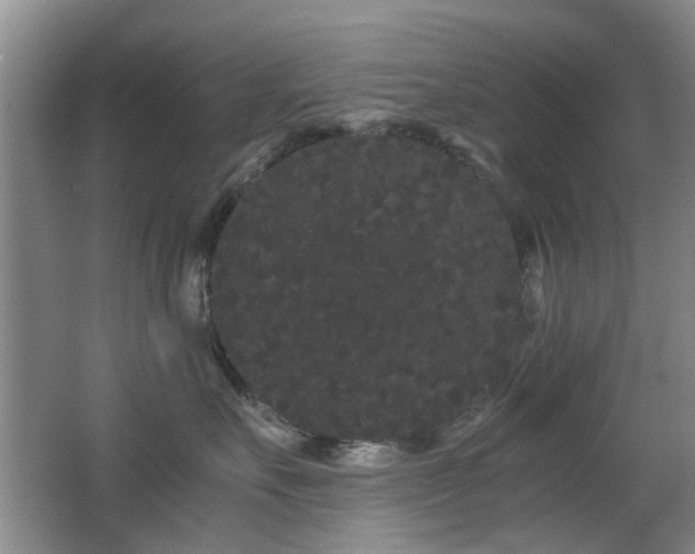 X0000063500527200601201416
