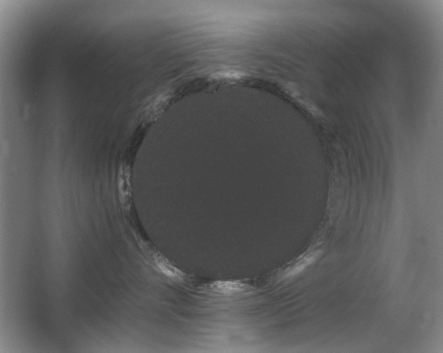 X0000063500528200601201416