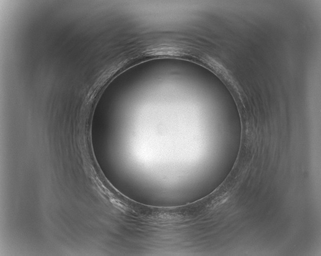X0000063500529200601201415
