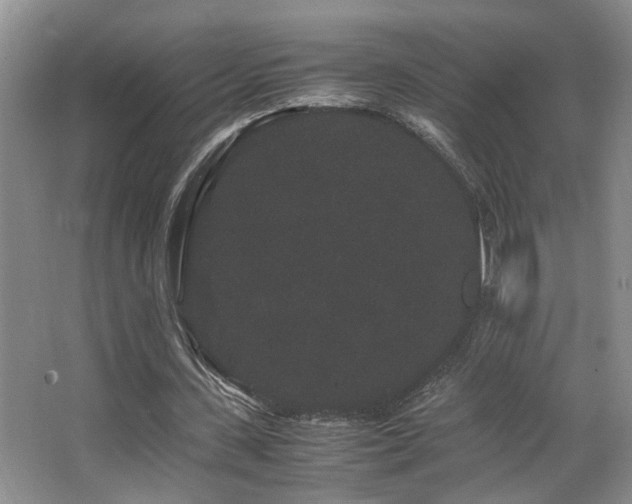 X0000063500531200601201415