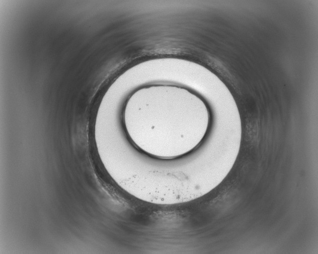 X0000063500534200601201415