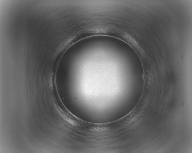 X0000063500537200601201415