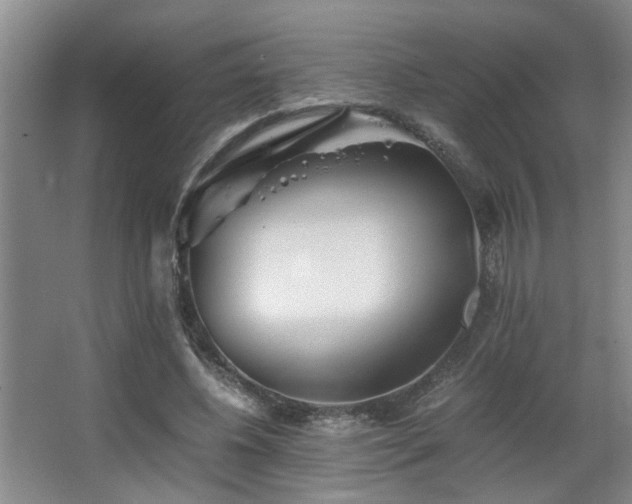 X0000063500540200601201415
