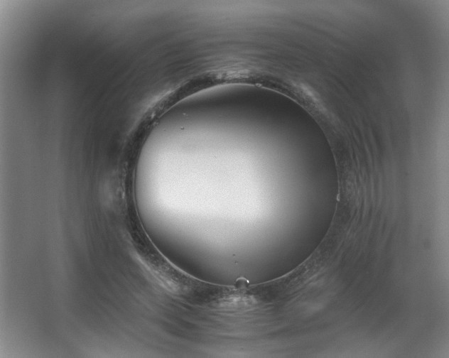 X0000063500543200601201415