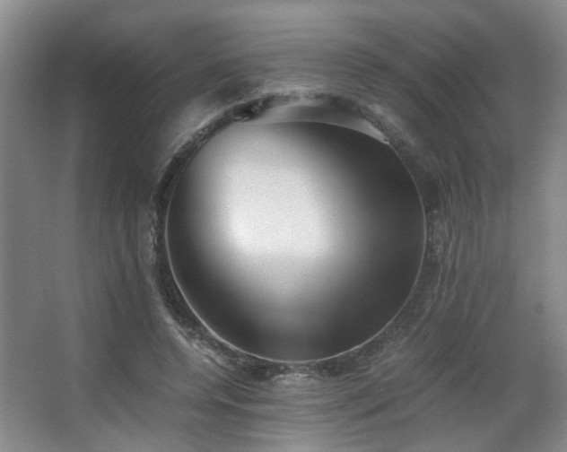 X0000063500544200601201415