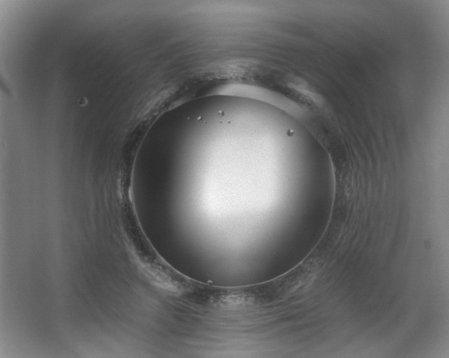 X0000063500546200601201415