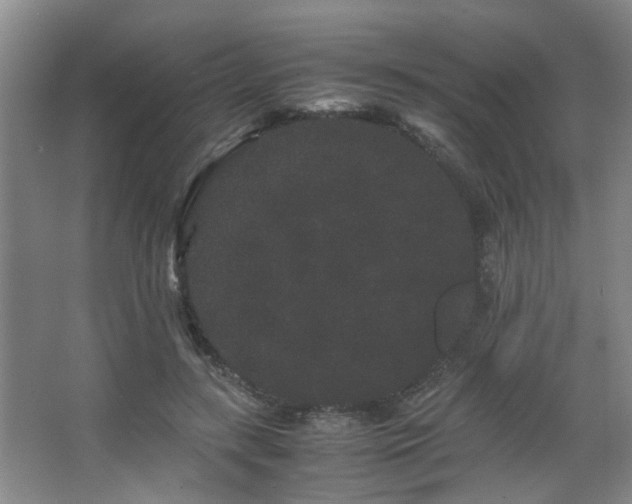 X0000063500547200601201415