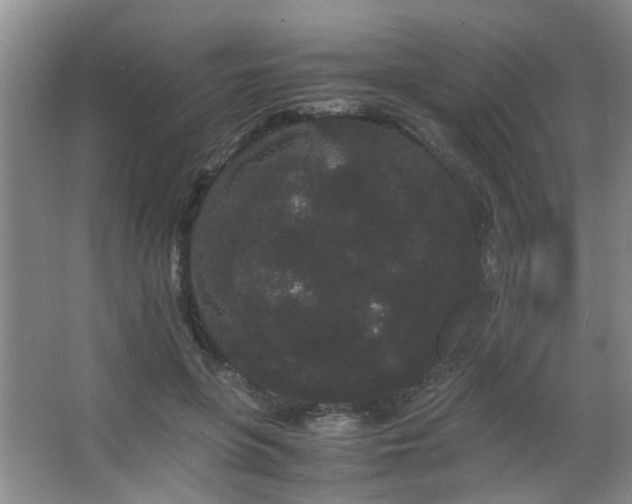 X0000063500551200601201415