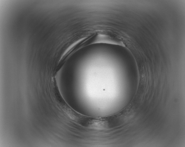 X0000063500555200601201415