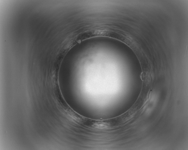 X0000063500557200601201415
