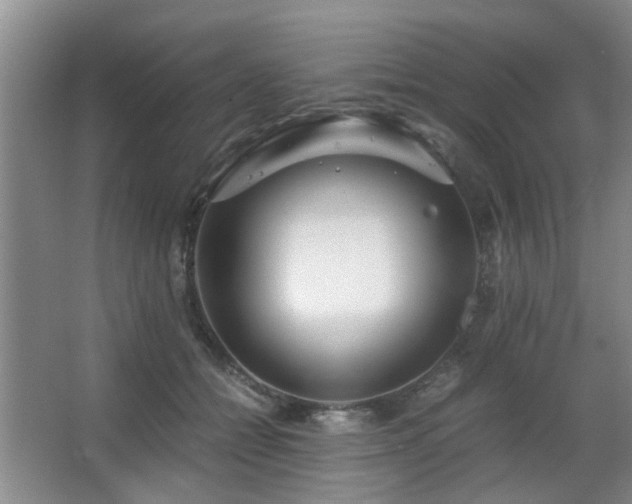 X0000063500558200601201415