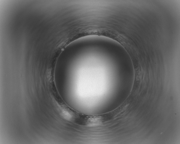 X0000063500560200601201415