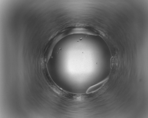 X0000063500564200601201415