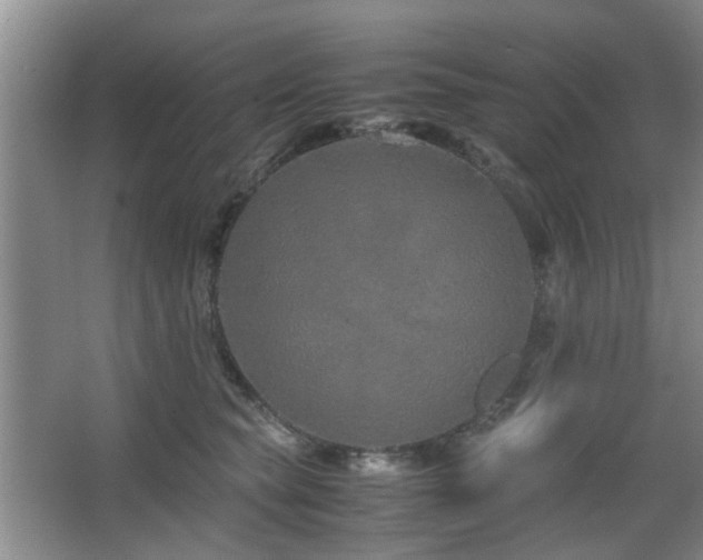 X0000063500565200601201416