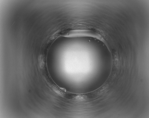 X0000063500566200601201416