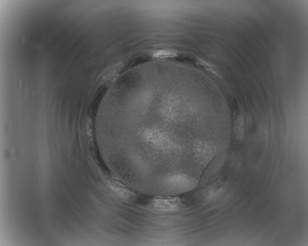 X0000063500571200601201416