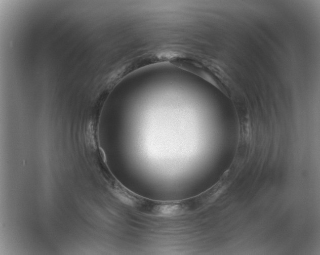 X0000063500575200601201416