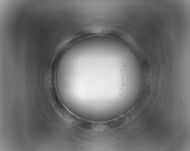 X0000063500587200601201415