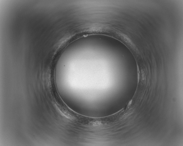 X0000063500588200601201415