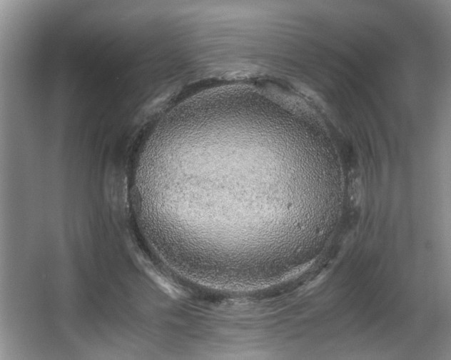 X0000063500589200601201415
