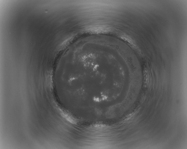 X0000063500590200601201415