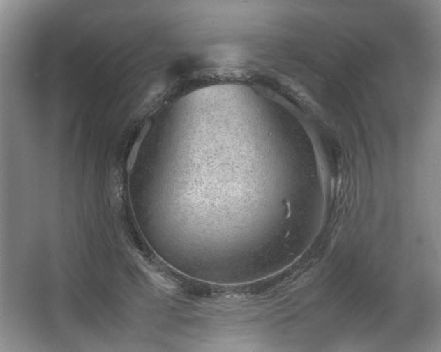X0000063500593200601201415