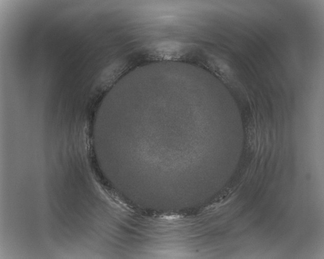 X0000063500594200601201415