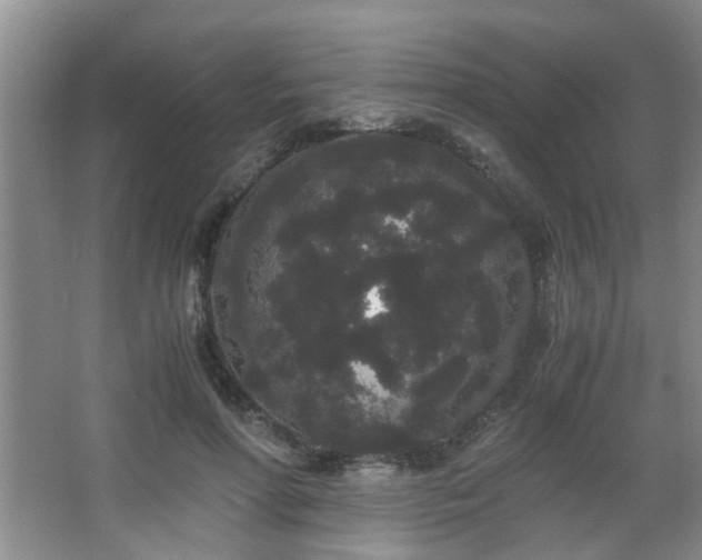 X0000063500598200601201415