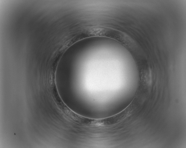X0000063500602200601201414