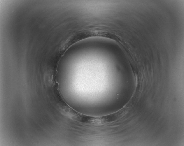X0000063500615200601201414