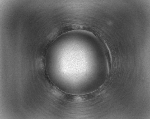 X0000063500616200601201414
