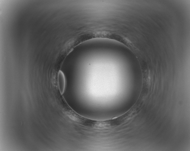 X0000063500619200601201414