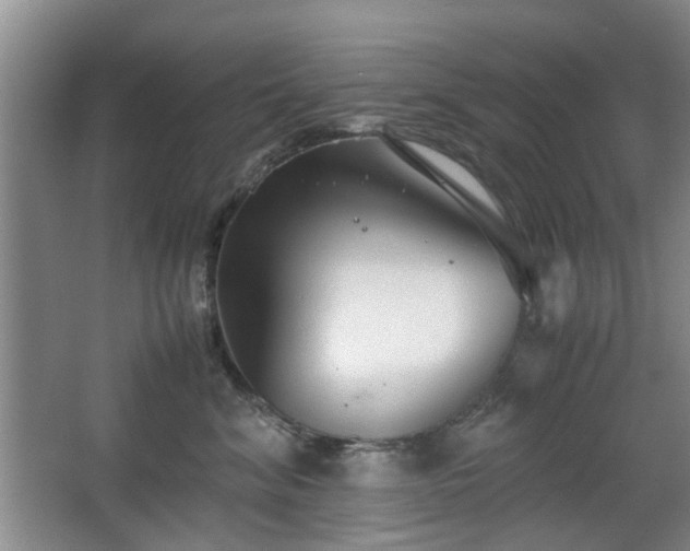 X0000063500620200601201414