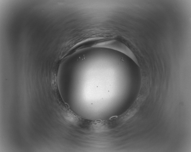 X0000063500624200601201414