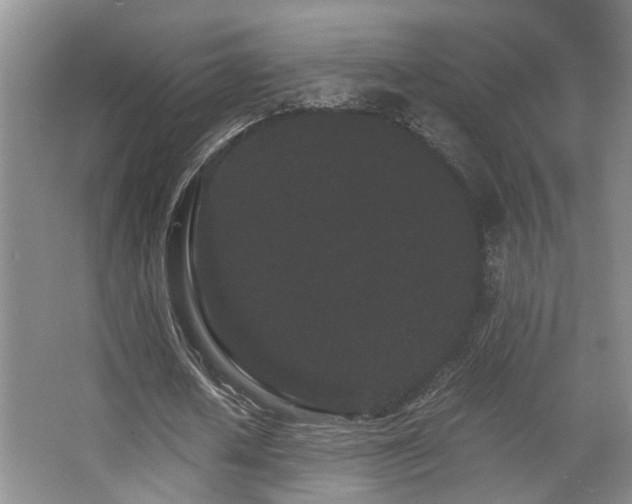 X0000063500626200601201413