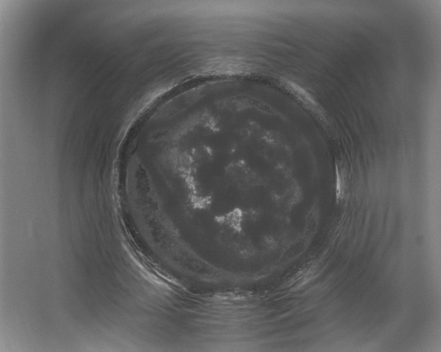 X0000063500627200601201413
