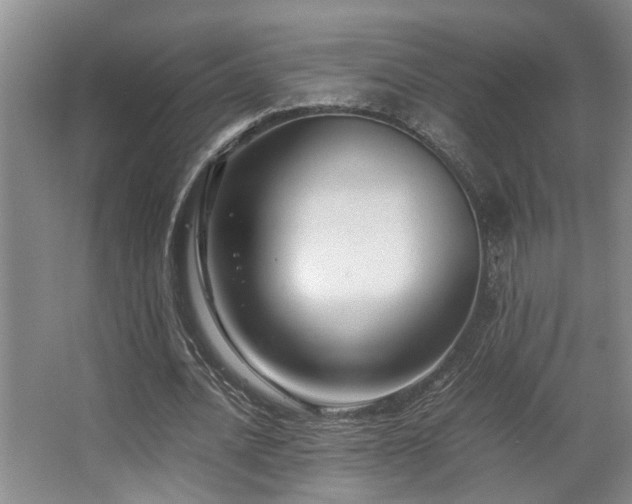 X0000063500628200601201413