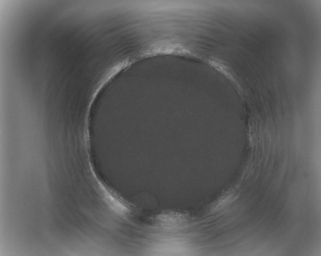 X0000063500630200601201413