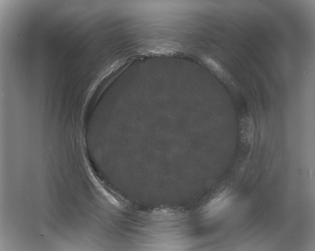X0000063500634200601201413