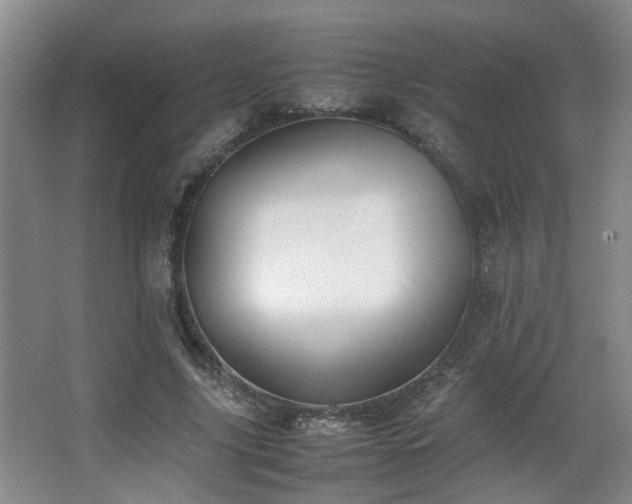 X0000063500635200601201413