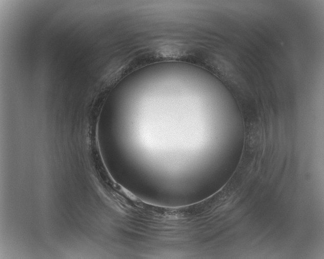 X0000063500639200601201413