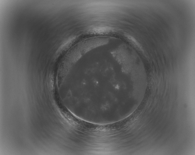 X0000063500640200601201414