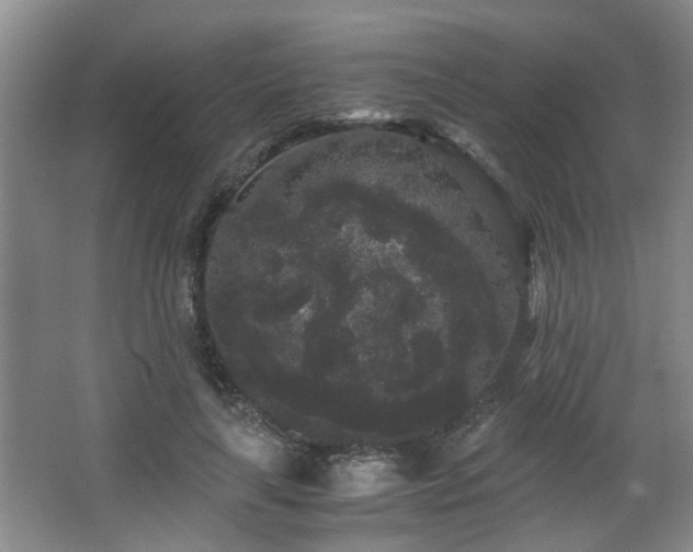 X0000063500643200601201414