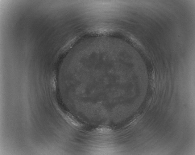 X0000063500644200601201414