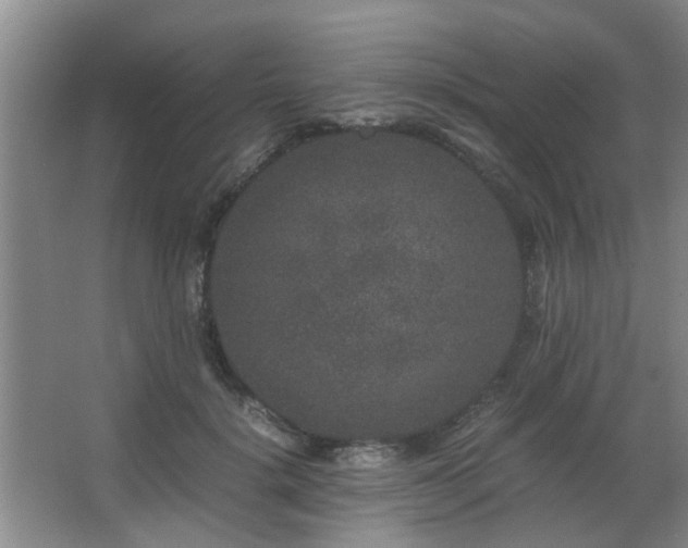 X0000063500652200601201414