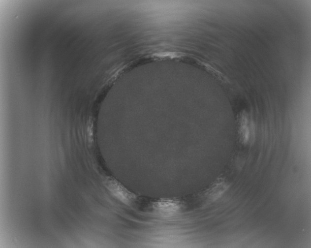 X0000063500668200601201414