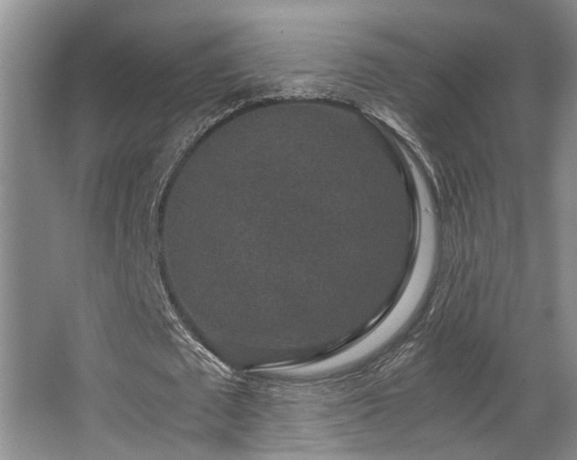 X0000063500673200601201413