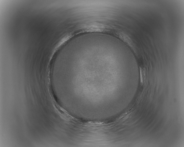 X0000063500675200601201413