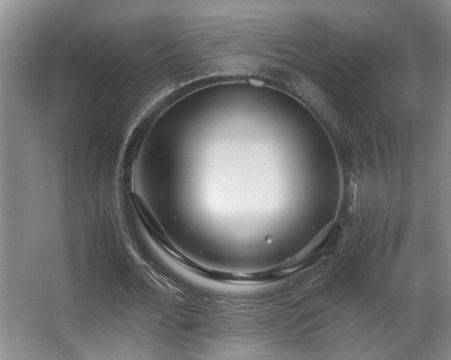 X0000063500676200601201413