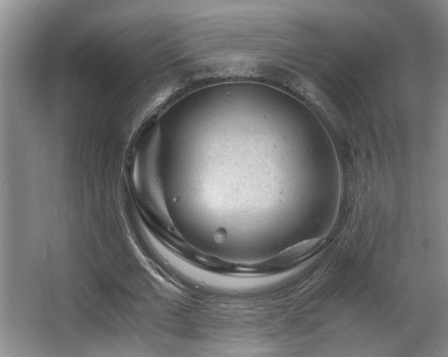 X0000063500677200601201413